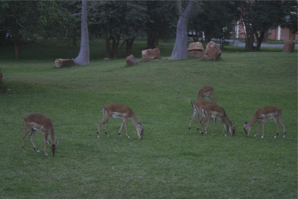 M'Kango Golfview Hotel Lusaka Bagian luar foto